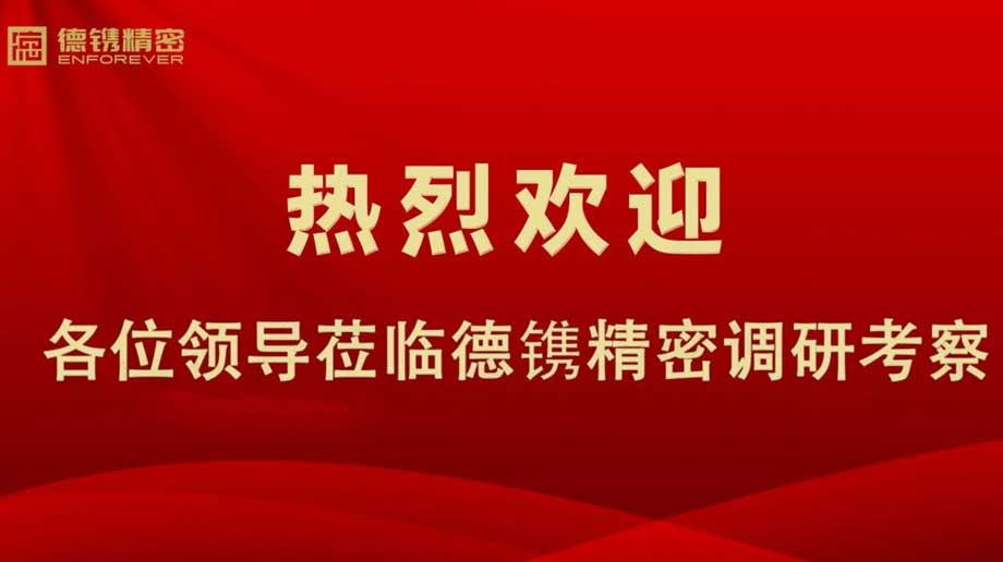 山西省永濟(jì)市市委書記何偉率隊(duì)到德鐫調(diào)研考察